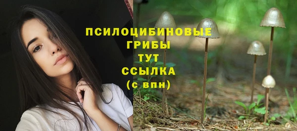 трава Мегион