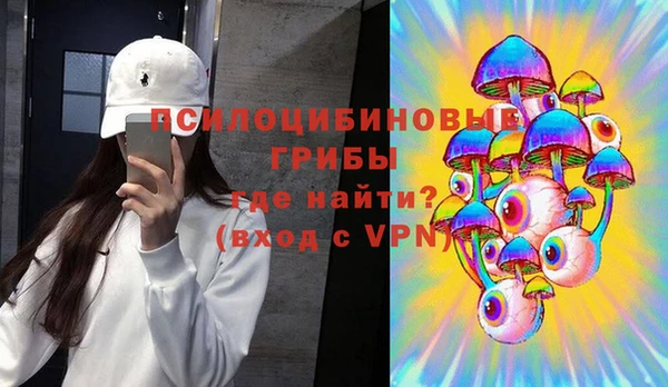 стаф Медвежьегорск